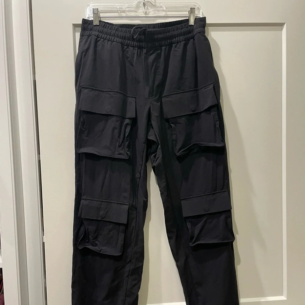 Alo Yoga cargo venture pants